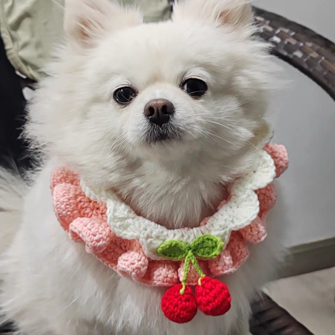 Handmade Knit Pink Cherry 🍒 Collar for Cats and Dogs