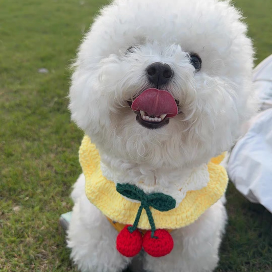 Handmade Knit Pink Cherry 🍒 Collar for Cats and Dogs