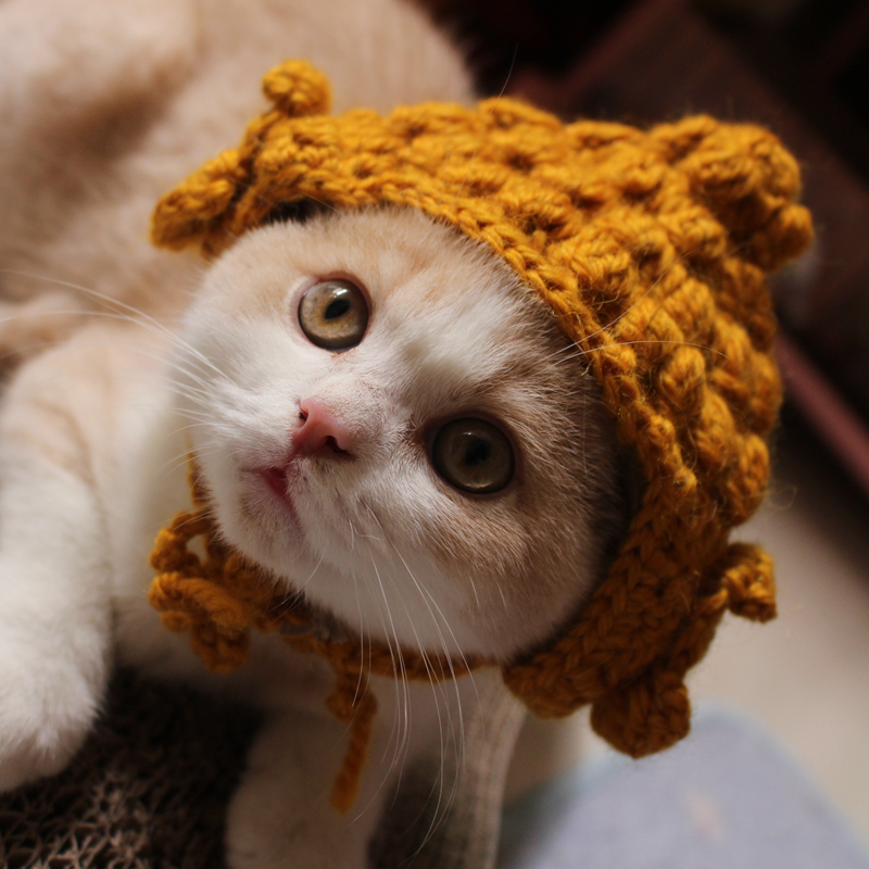 Halloween Handmade Knit Budda Hat for Cats and Dogs