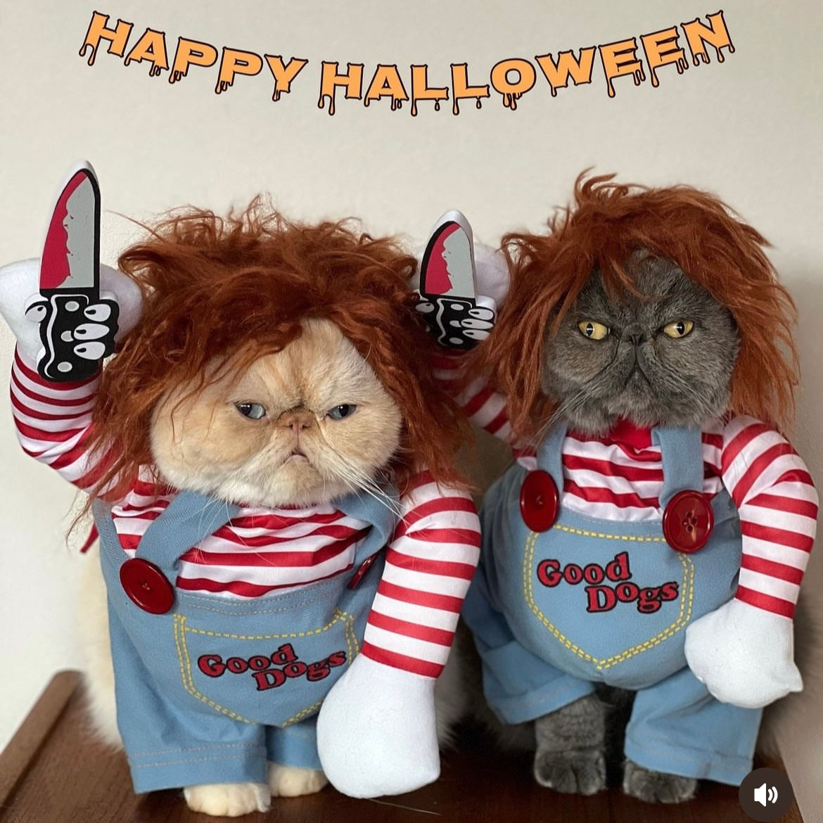 Halloween Wanna Play Deadly Doll Cosplay Pet Costume for Cats and Dogs - Lil Wild Pets