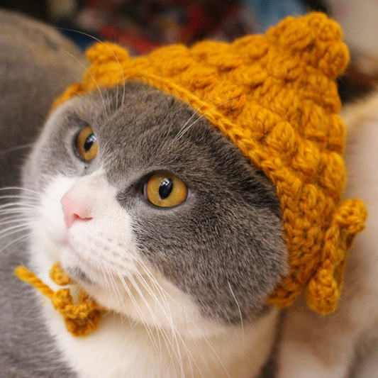 Halloween Handmade Knit Budda Hat for Cats and Dogs