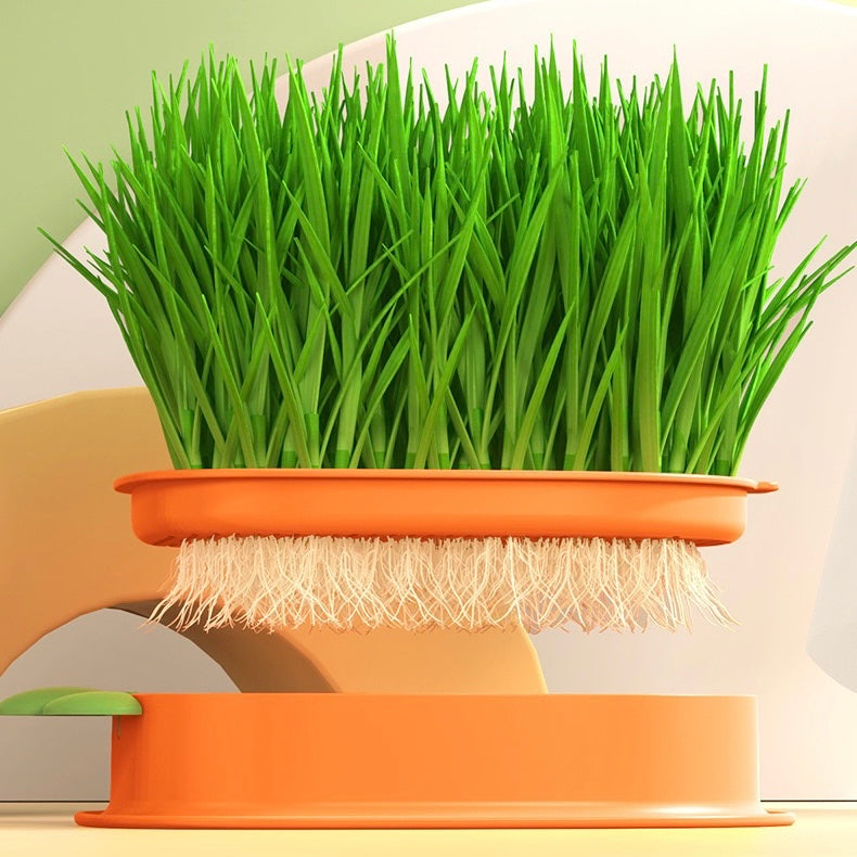 Organic Cat Grass Growing Kit with Carrot Soilless Hydroponic Planter - Lil Wild Pets