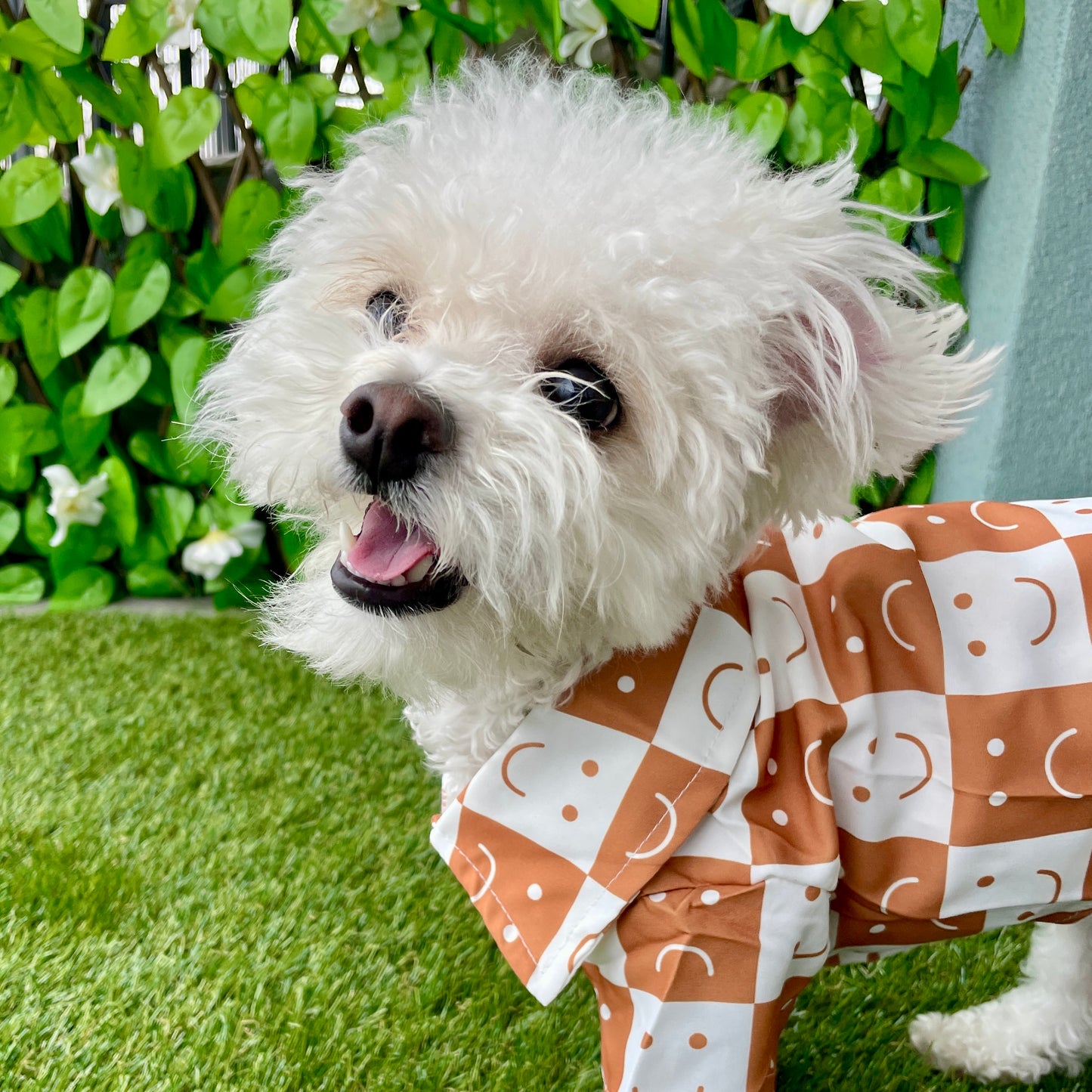 Smiley Face Checked Brown Shirt for Cats and Dogs