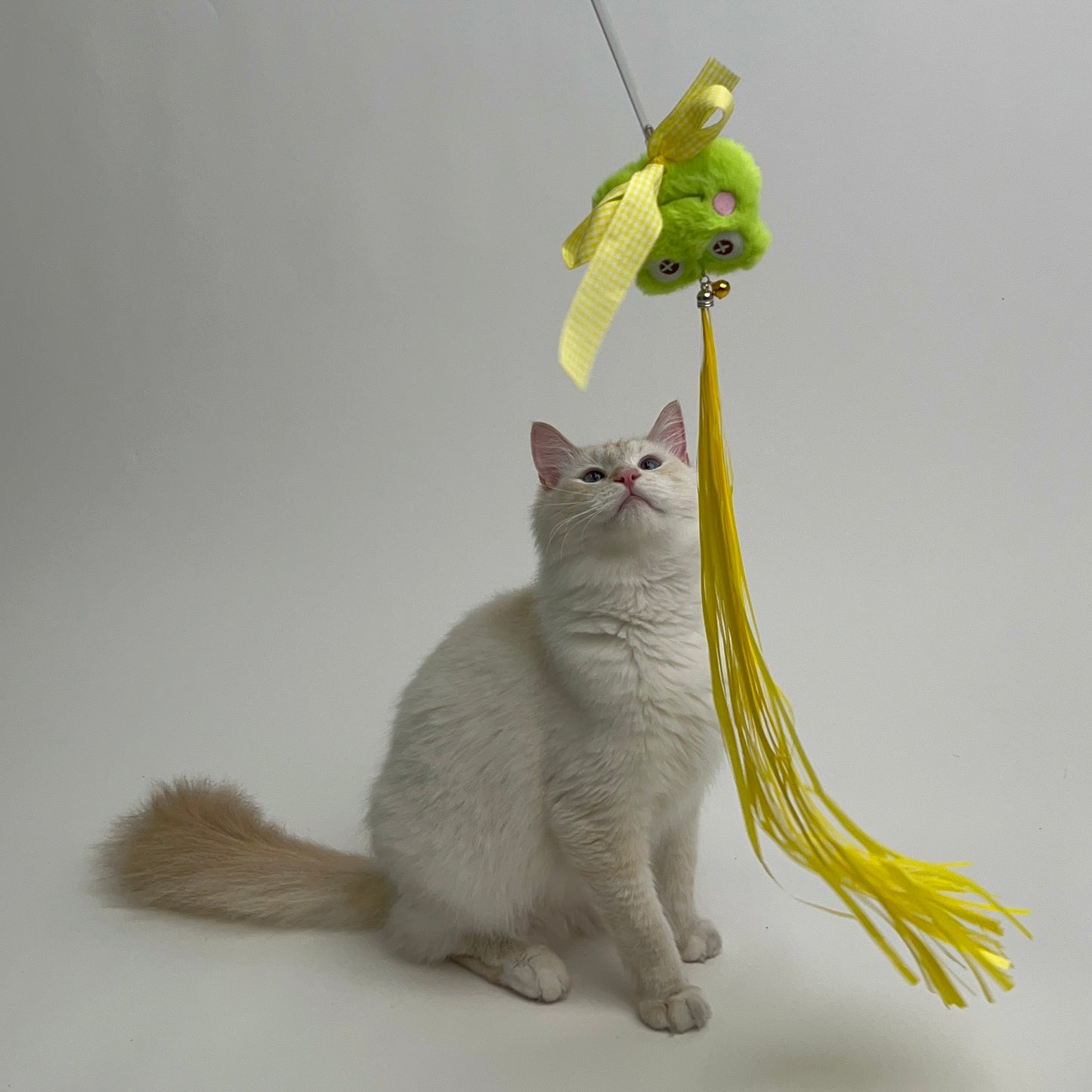 Plush Green Frog Teaser Wand Toy with Strings for Cats