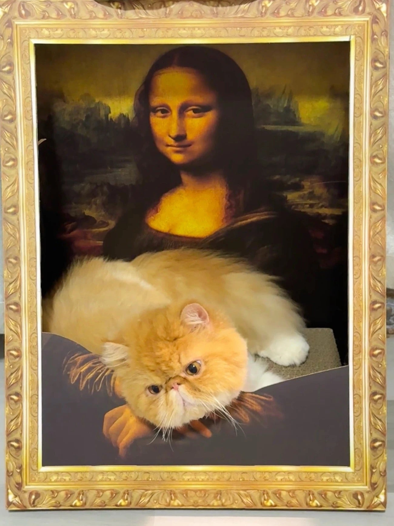 The Mona Lisa Oil Painting Cat Scratcher - Lil Wild Pets