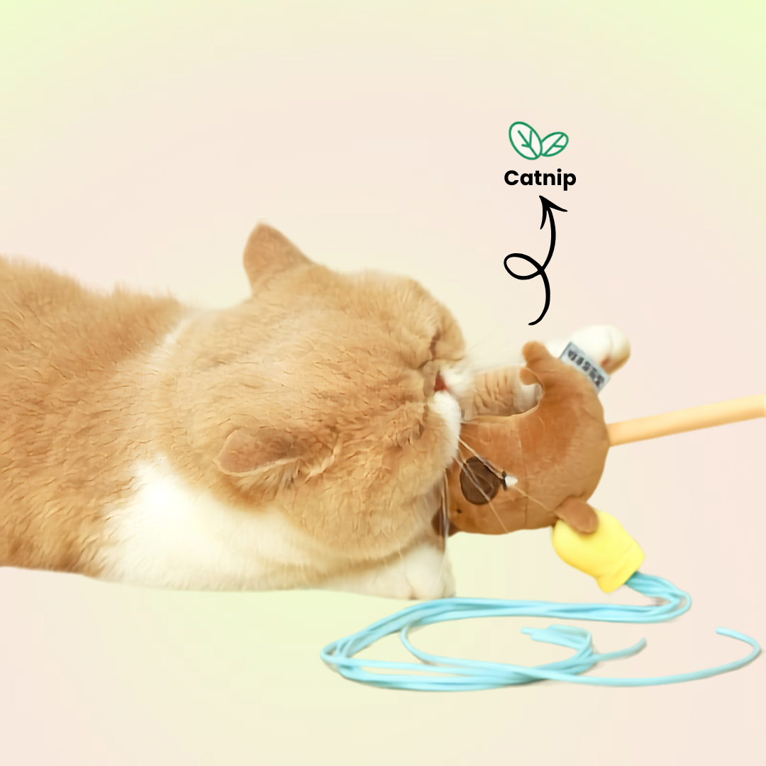 Capybara Catnip Plush Teaser Wand Cat Toy with Strings