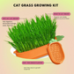 Organic Cat Grass Growing Kit with Carrot Soilless Hydroponic Planter - Lil Wild Pets