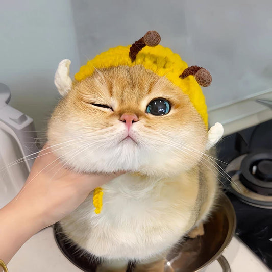 Pet Adjustable Knitting Hat with Ear Holes for Cats and Dogs - Bee