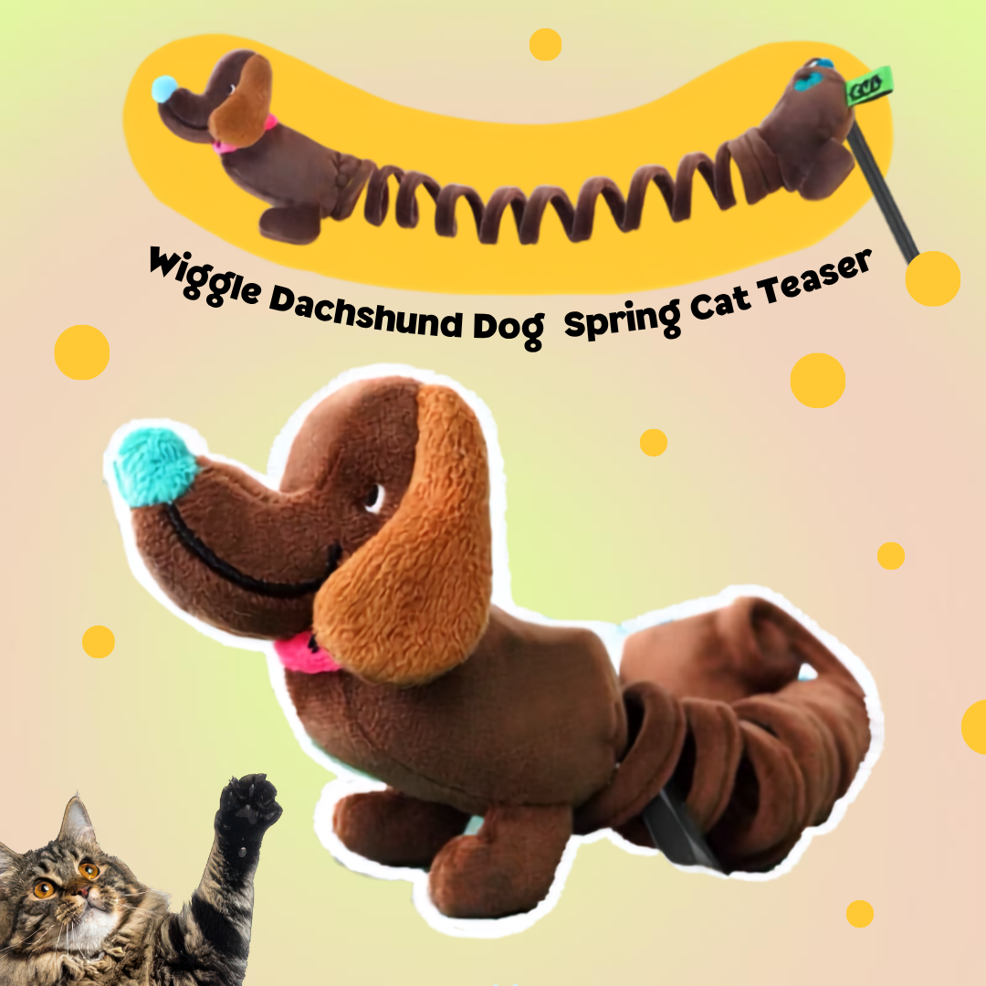 Dachshund Dog Wiggle Wag Spring Cat Teaser