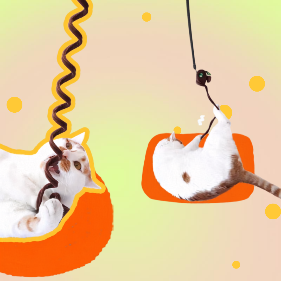 Dachshund Dog Wiggle Wag Spring Cat Teaser