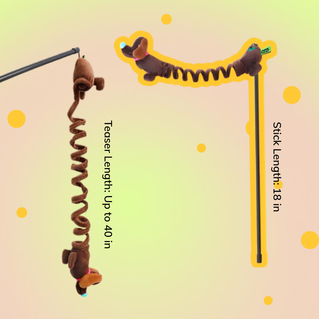 Dachshund Dog Wiggle Wag Spring Cat Teaser