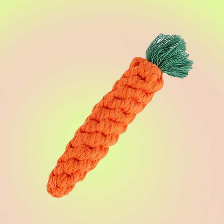 https://lilwildpets.com/cdn/shop/files/Dogtoy-Rope-carrot_450x450.jpg?v=1682896278