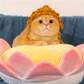 Halloween Handmade Knit Budda Hat for Cats and Dogs