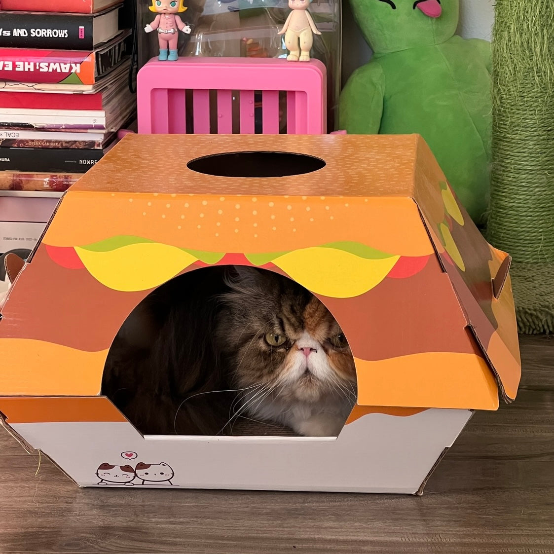 Burger Cat Box House with Scratching Pad