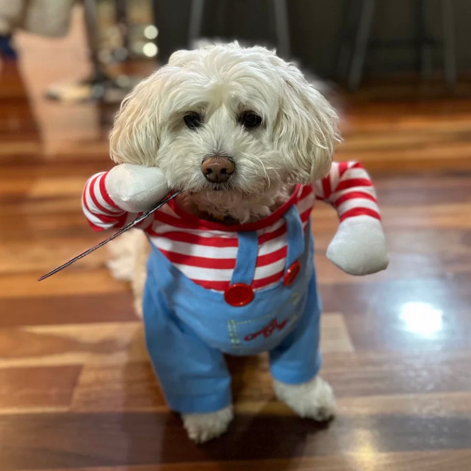 Halloween Wanna Play Deadly Doll Cosplay Pet Costume for Cats and Dogs - Lil Wild Pets