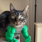 Lil Wild Pets Halloween Exclusive Green Hulk Cat Arms