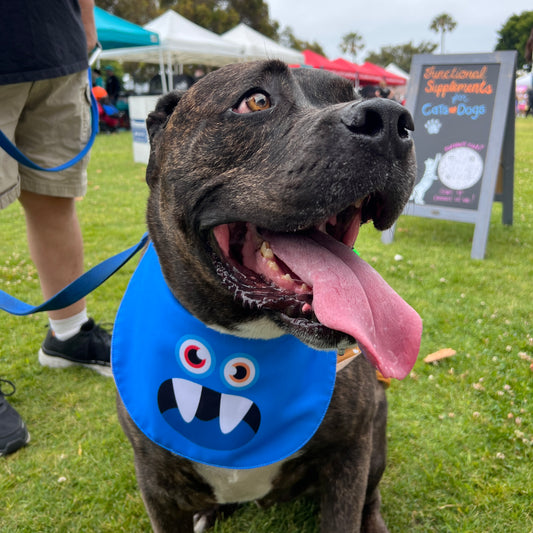 Double-Sided Drool Bib Accessory for Medium and Big Dogs - Monster