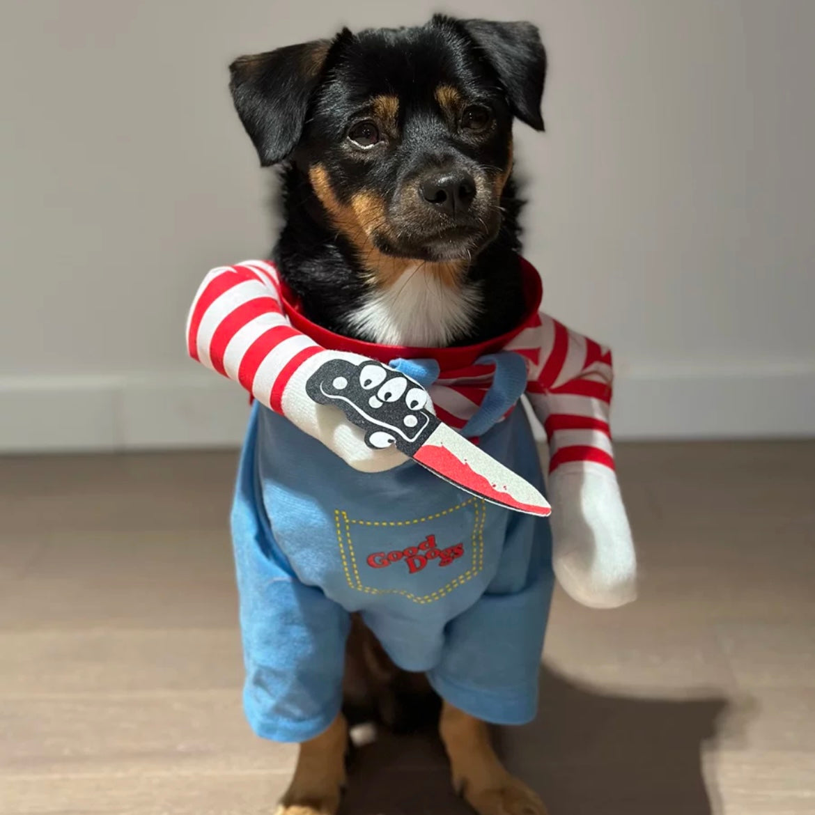 Halloween Wanna Play Deadly Doll Cosplay Pet Costume for Cats and Dogs - Lil Wild Pets