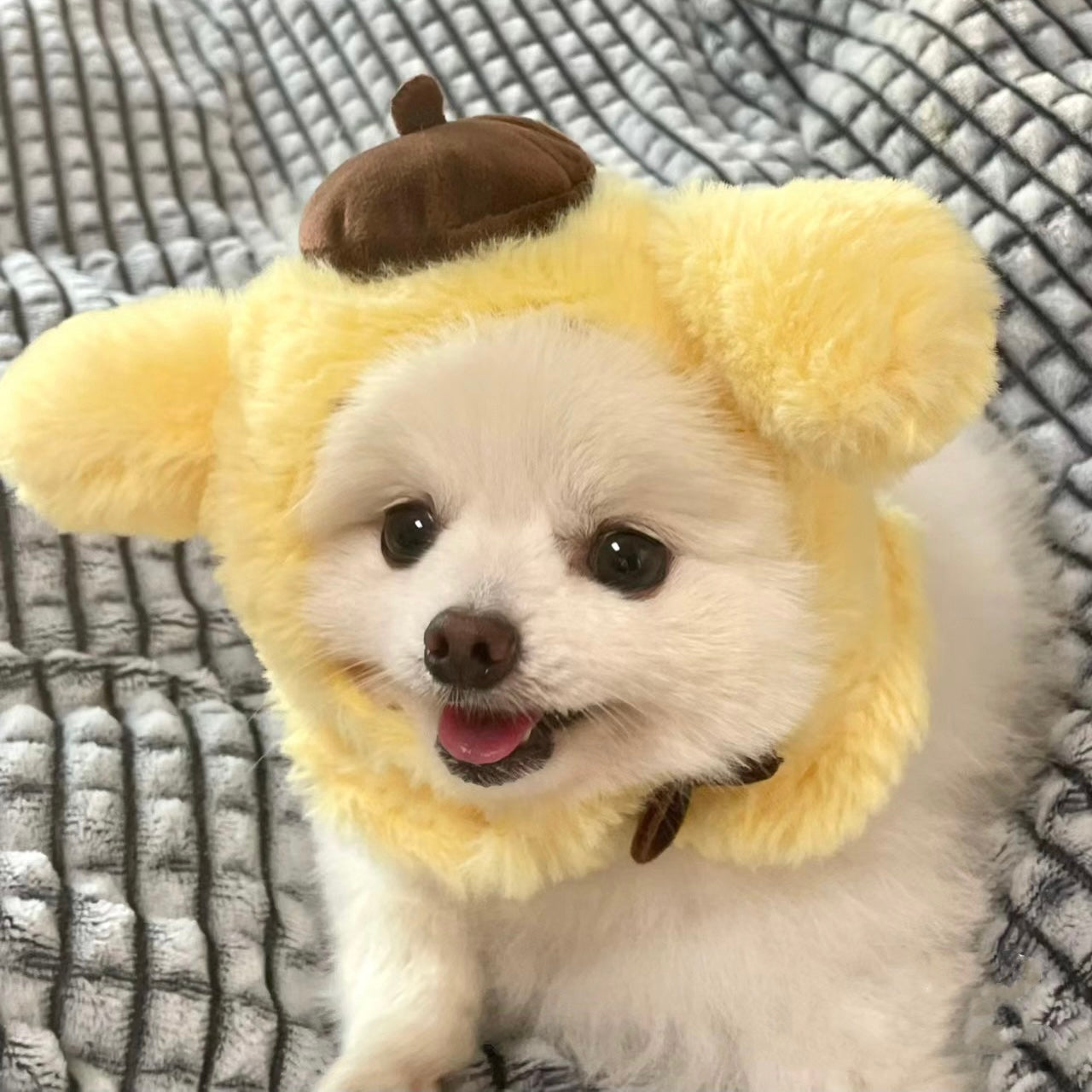 Pompompurin Sanrio Adjustable Pet Hat for Cats and Dogs
