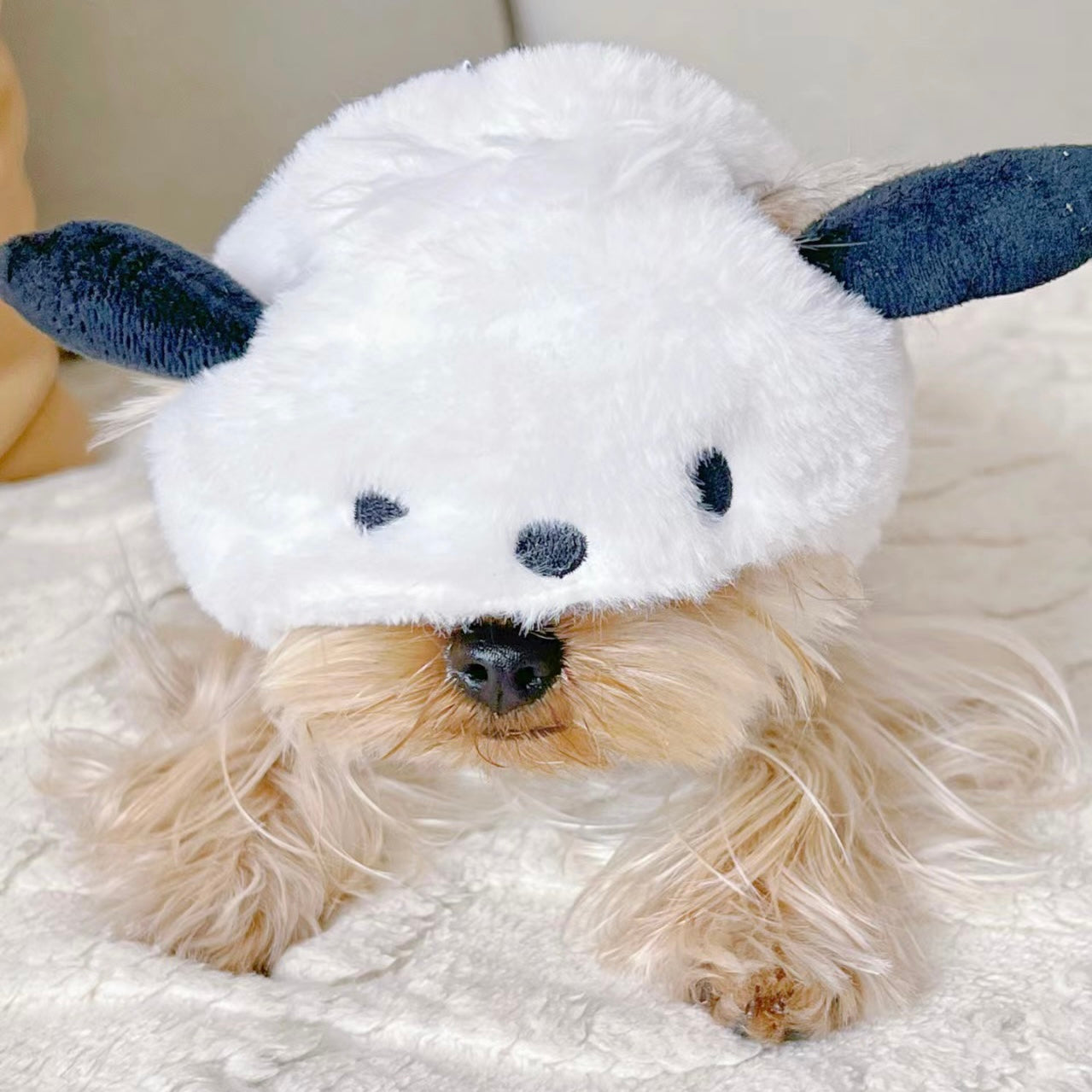 Pochacco Sanrio Adjustable Pet Hat for Cats and Dogs