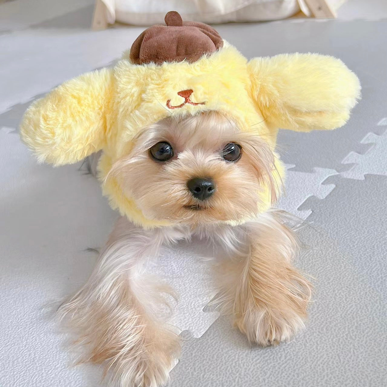 Pompompurin Sanrio Adjustable Pet Hat for Cats and Dogs