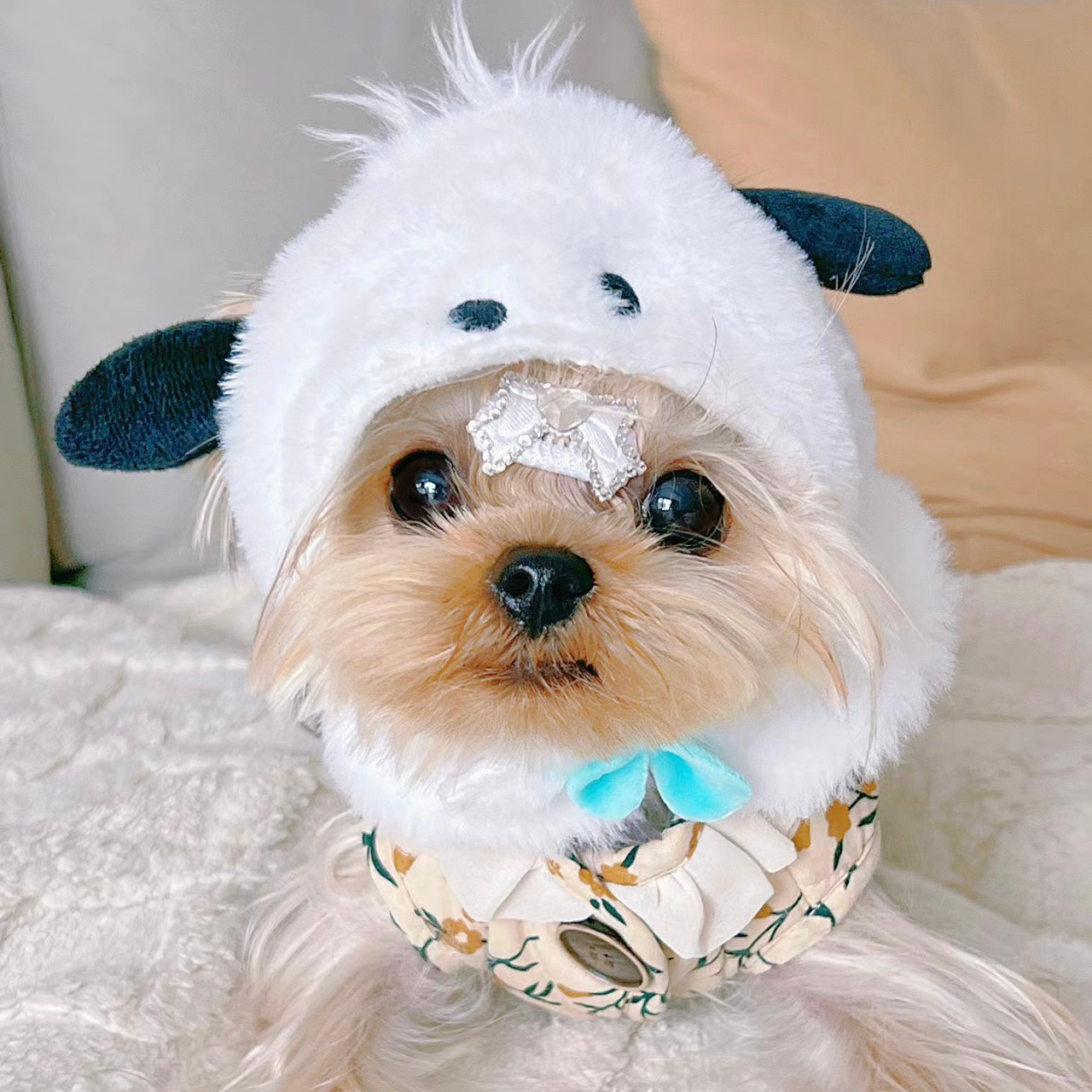 Pochacco Sanrio Adjustable Pet Hat for Cats and Dogs