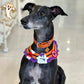 Pumpkin & Ghost Crochet Adjustable Hat & Bib for Cats and Dogs - Lil Wild Pets
