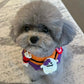 Pumpkin & Ghost Crochet Adjustable Hat & Bib for Cats and Dogs - Lil Wild Pets