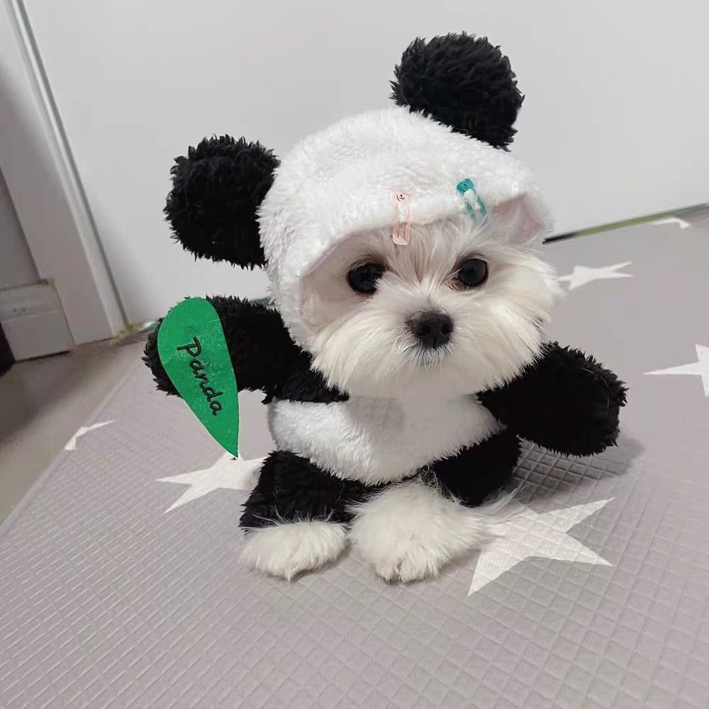 Dog panda outlet costume