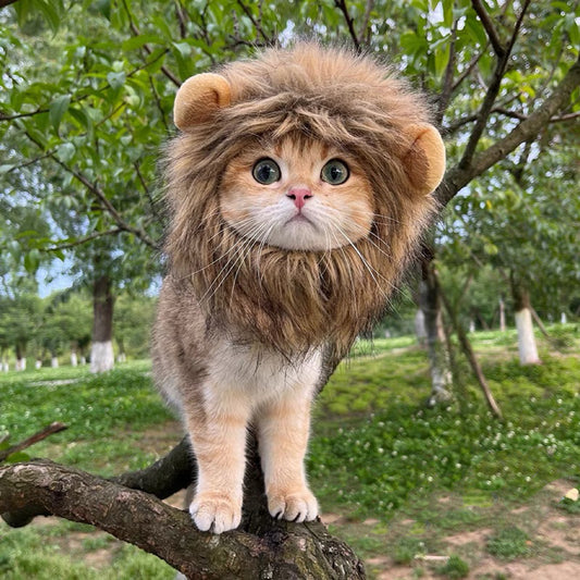 Lion Halloween Pet Adjustable Hat for Cats and Dogs