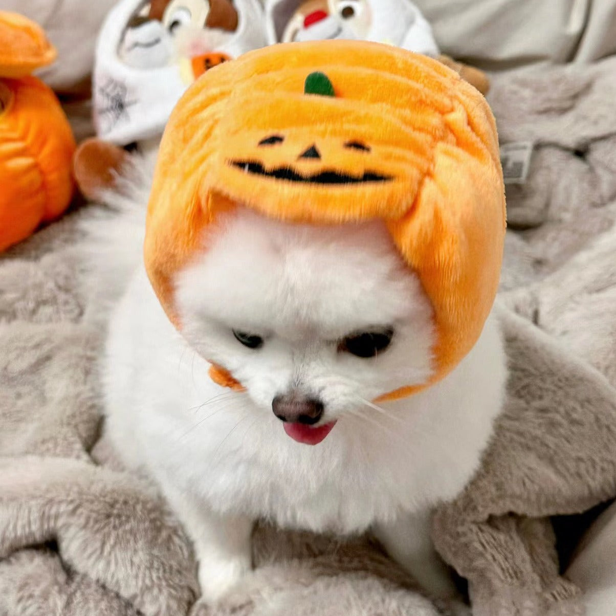 Halloween Pumpkin Adjustable Pet Hat for Cats and Dogs