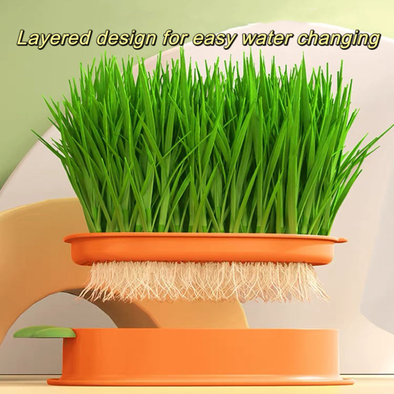 Organic Cat Grass Growing Kit with Carrot Soilless Hydroponic Planter