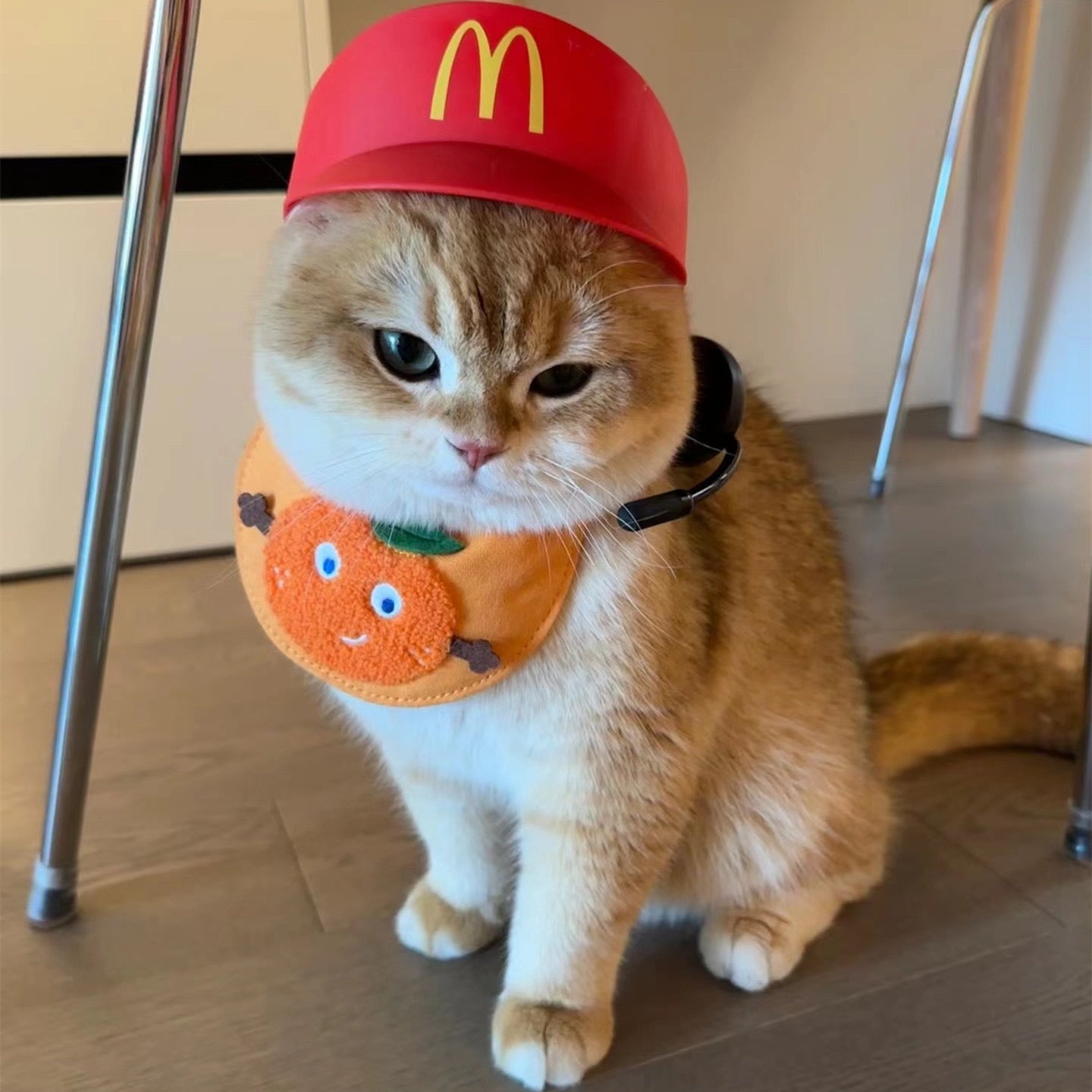McDonald's Happy Meal Hat for Cats and Dogs