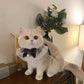 Pet Adjustable Elegant Lace Bow Collar for Cats and Dogs