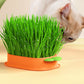 Organic Cat Grass Growing Kit with Carrot Soilless Hydroponic Planter - Lil Wild Pets