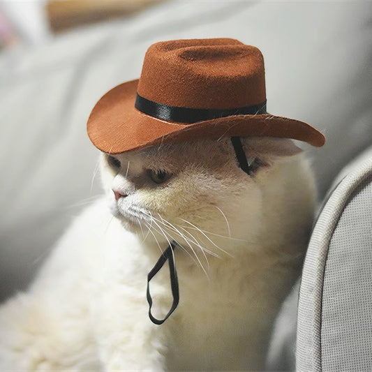Halloween Cowboy Hat for Cats & Small Dogs
