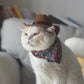Halloween Cowboy Hat for Cats & Small Dogs