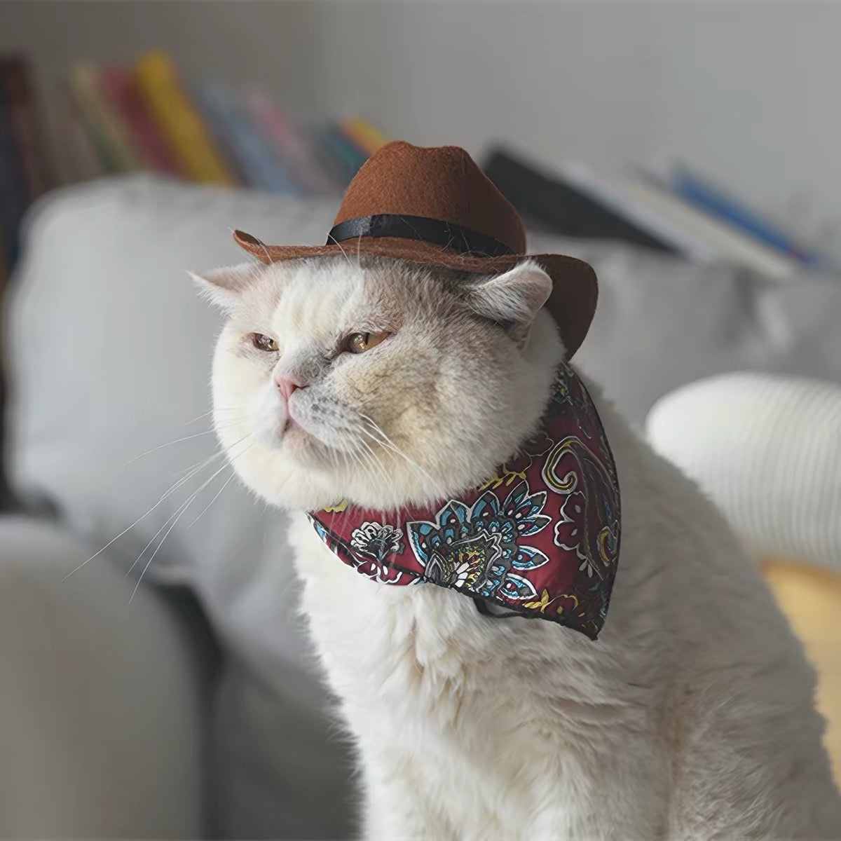 Halloween Cowboy Hat for Cats & Small Dogs