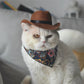Halloween Cowboy Hat for Cats & Small Dogs