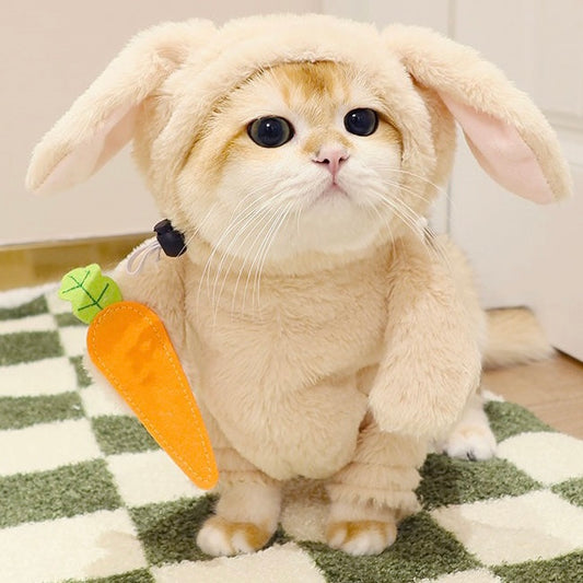 Bunny Costume for Pets with a Carrot - Lil Wild Pets