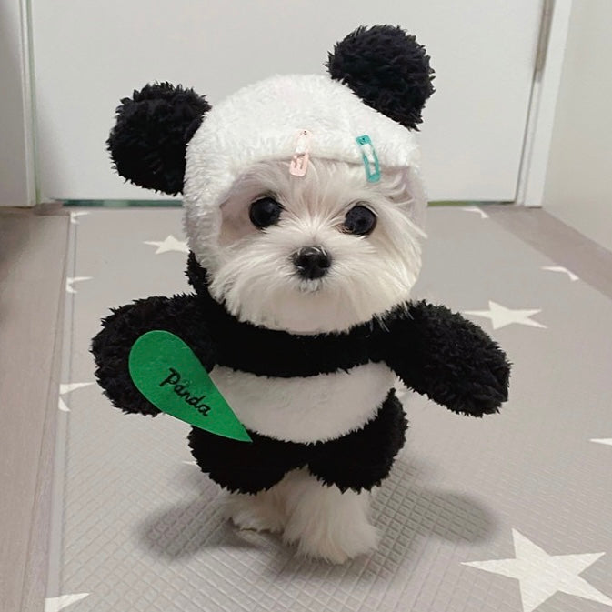 Dog panda clearance costume