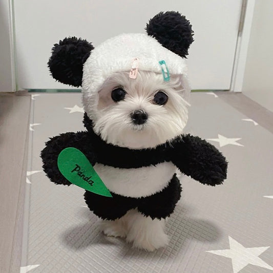 Panda Costume for Pets with a Bamboo - Lil Wild Pets