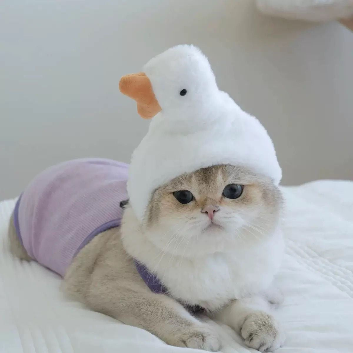 Halloween Pet Goose Hat for Cats & Small Dogs
