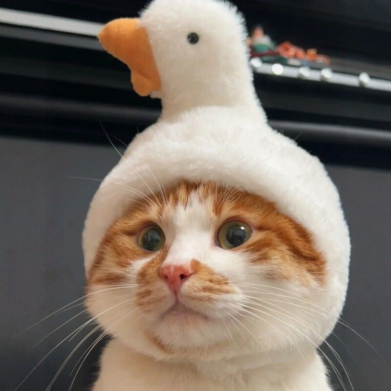 Halloween Pet Goose Hat for Cats & Small Dogs