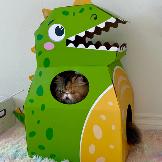 Dinosaur Cat Box House with Scratching Pad - Lil Wild Pets