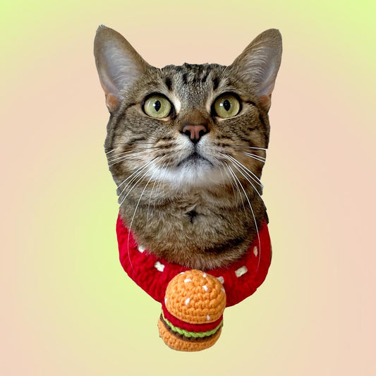 Knit Hamburger Handmade Crochet Pet Bib Accessory Collar for Cats and Dogs - Lil Wild Pets