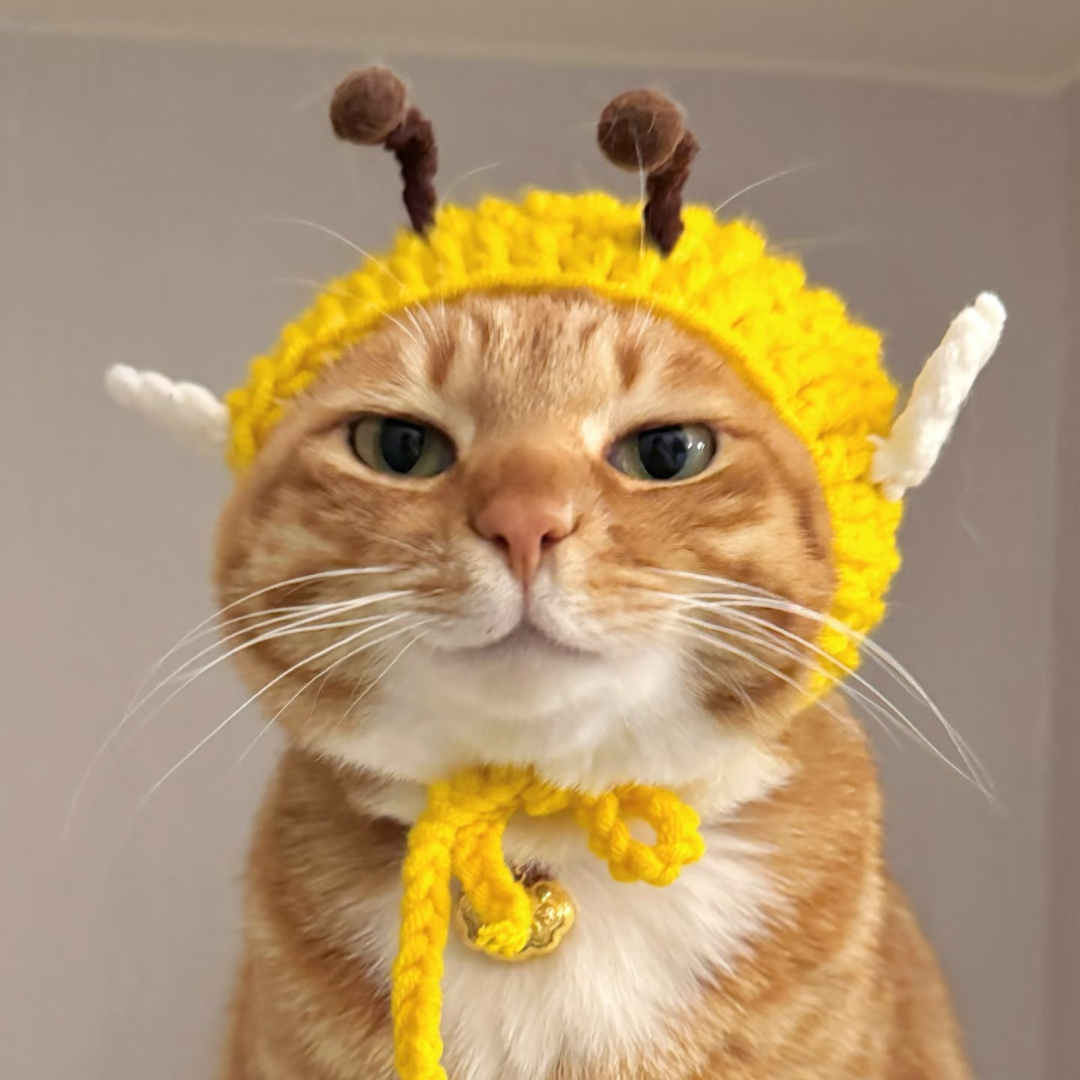 Halloween Pet Adjustable Knit Bee Hat for Cats and Dogs - Lil Wild Pets
