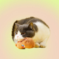 Peanuts Interactive Cat Chaser Toys with Sound