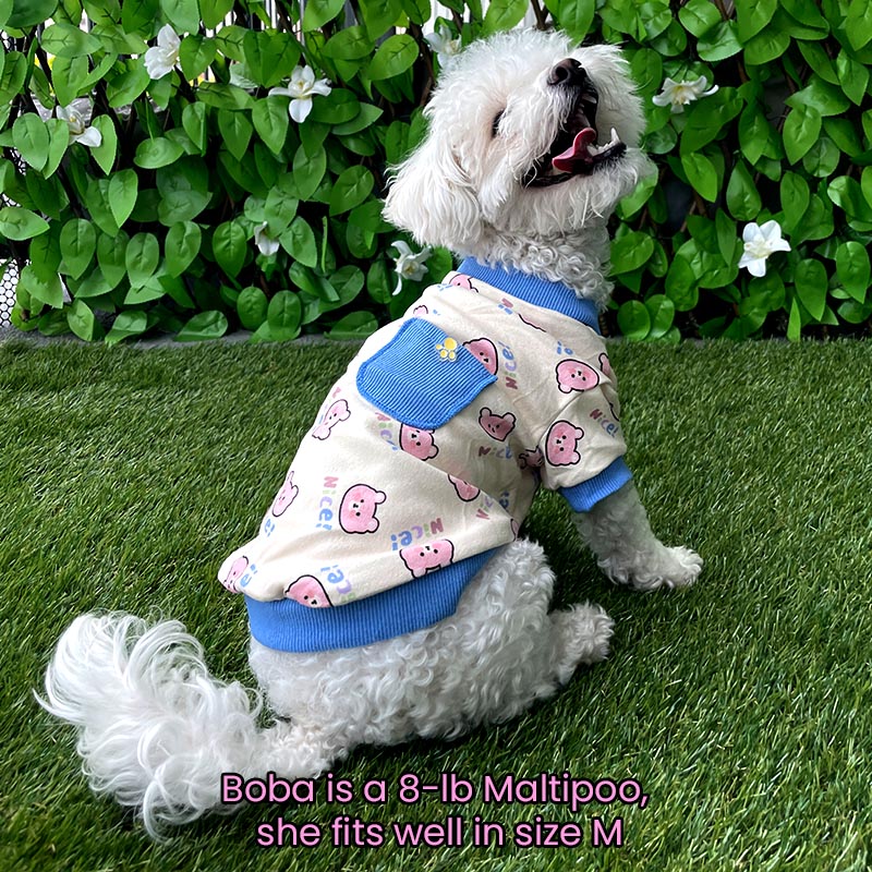 Maltipoo dog outlet clothes