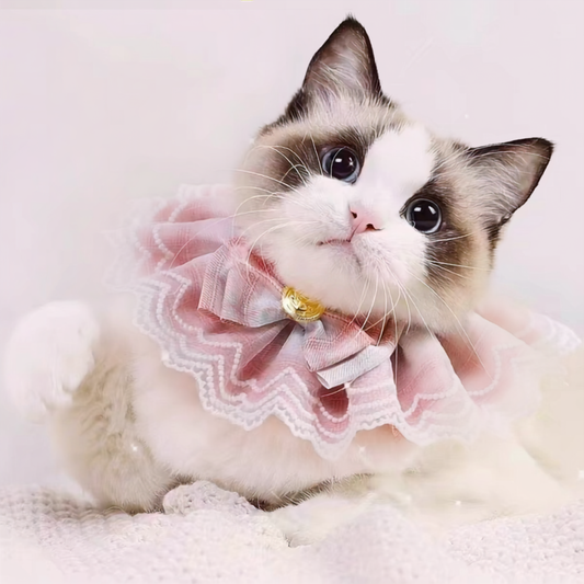 Pastel Belle Lace Bow Kitten & Small Dog Collar-Pink - Lil Wild Pets